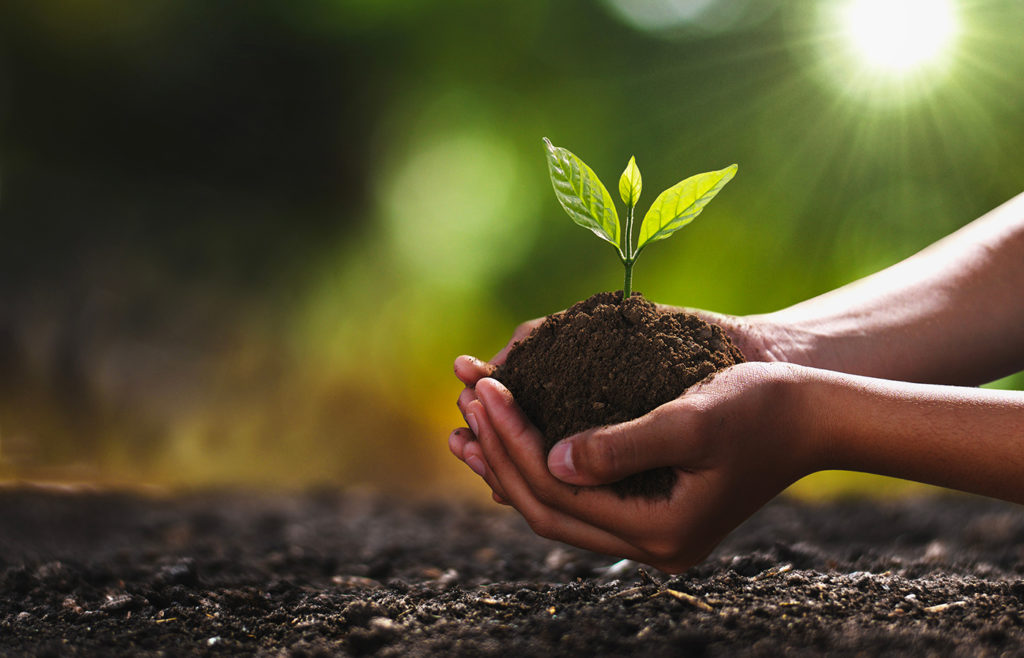 Bionedbrydelig rengøring